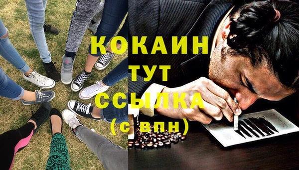 дмт Арсеньев